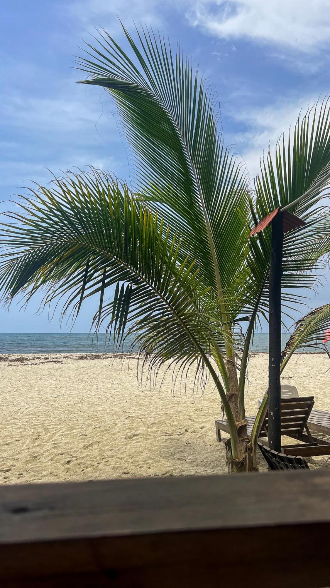 Hostal Mocambo Beach Guachaca Esterno foto